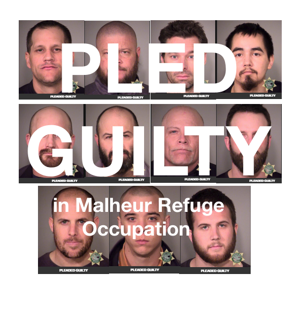 pled-guilty